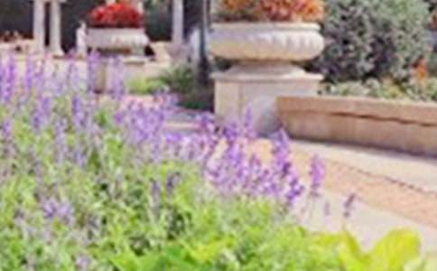 【精华】游公园小学作文3篇