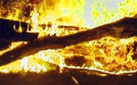 ���ַ��ع�������