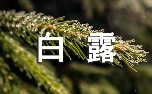 白露安好问候语集锦30句