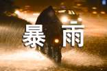 关于暴雨的小学优秀作文