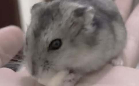 ����۲��ռ�ģ�������ƪ