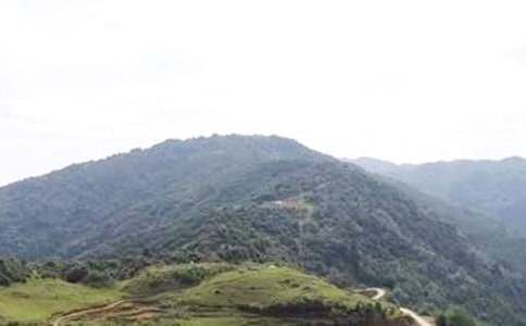 贾大山《莲池老人》阅读答案