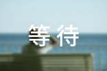 等待_800字