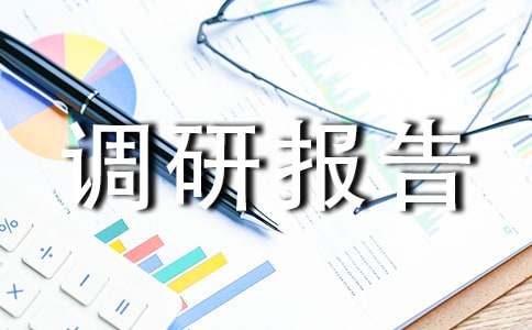 社会实践的调研报告
