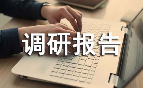 社会实践调研报告范文
