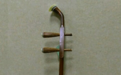 二胡的记忆初中作文