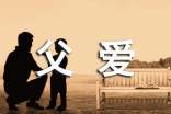 实用的高中父爱的作文合集10篇