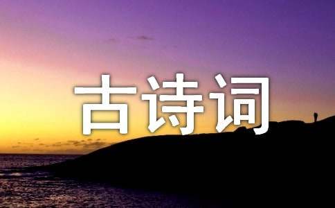 小升初古诗词运用试题
