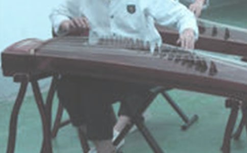 古筝活动方案