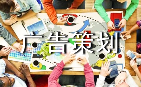 【精】广告策划书