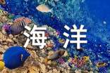 海洋天堂观后感