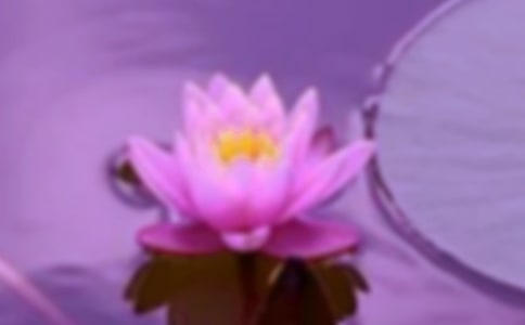 高中生关于和谐话题的作文