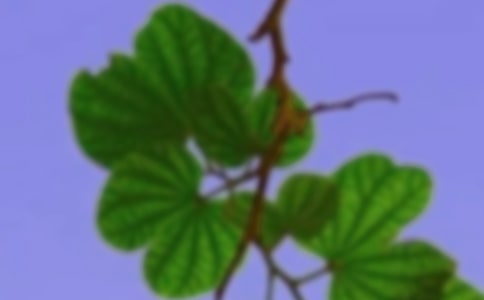 以和谐为话题的高中作文4篇