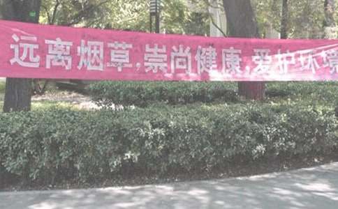 禁烟日的活动方案