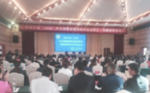 ������ʽ�쵼������