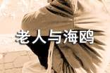 老人与海鸥读后感