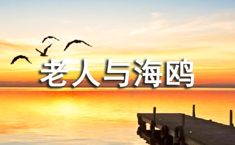 老人与海鸥测试题汇编