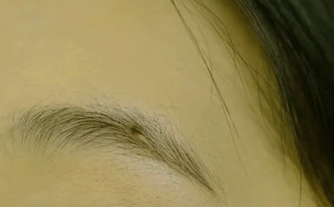眉毛和睫毛的故事儿童童话故事