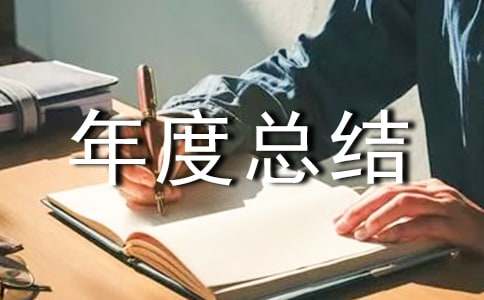 年度总结报告教案