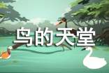 鸟的天堂教案模板集锦9篇