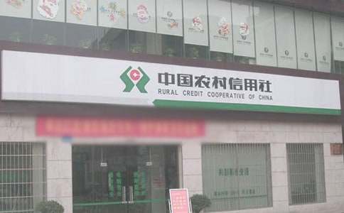 关于农村信用社实习报告四篇