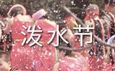 《泼水节的怀念》教学反思