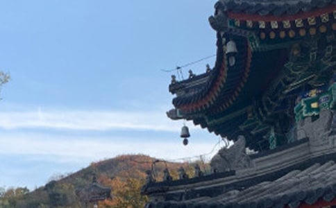 读《世界上下五千年》有感作文