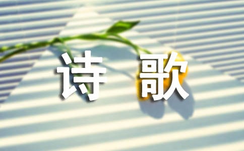鹧鸪天秋后亭皋木叶稀王寂诗歌试题答案