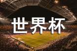 世界杯小学作文