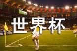 世界杯比赛的观后感