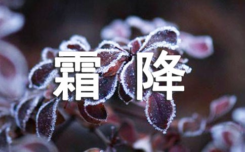 霜降祝福语精选15篇