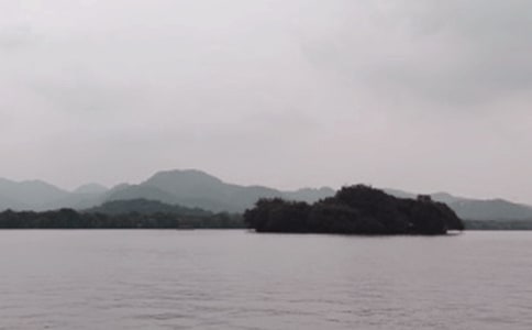 西湖听雨阅读理解答案