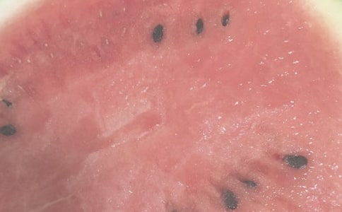 夏日雨高中作文