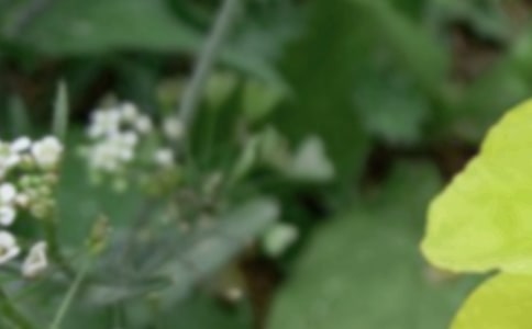 夏至活动方案策划