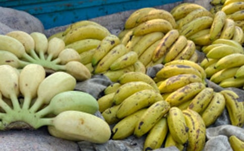 �йء��㽶���Ķ���