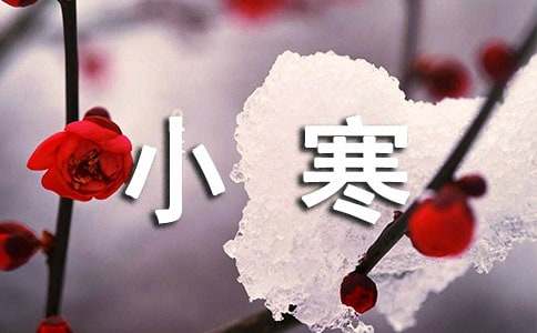 2026年小寒节气问候语合集44句