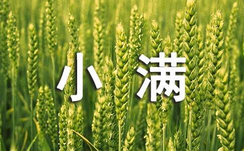 2026年小满问候语28句