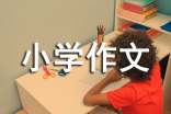美丽小学作文(热门)
