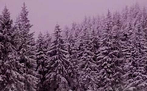 语言活动小雪花教案(通用19篇)