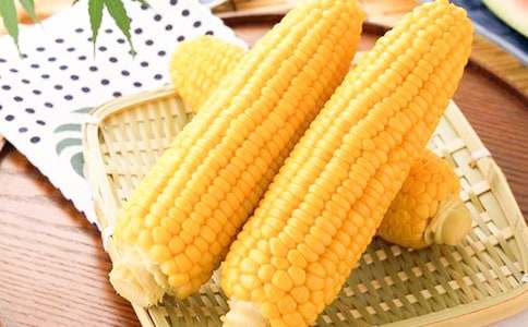 玉米观察日记4篇