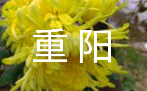 情暖重阳祝福语祝福天下老人