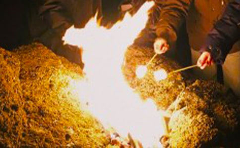 篝火晚会活动策划方案(精选10篇)