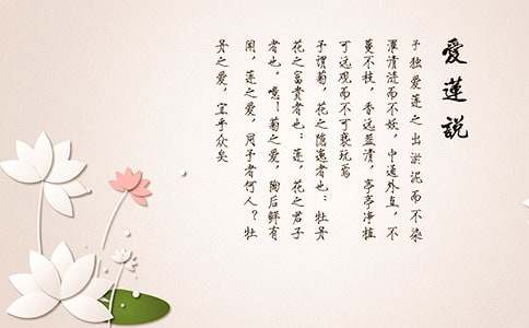 ����˵�̰�������ƪ