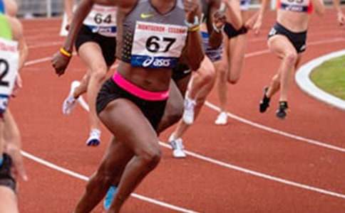 2008年奥运会小学作文