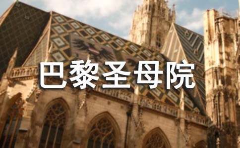 (集合)巴黎圣母院读后感15篇