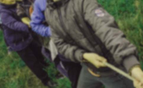 拔河比赛小学作文15篇