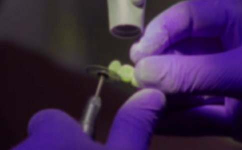 ����Сѧ���ġ�����