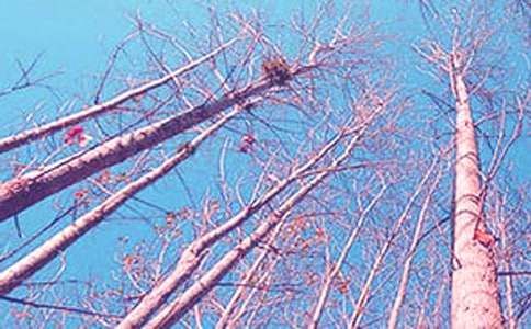 ���꼶�²����ġ�����̰�