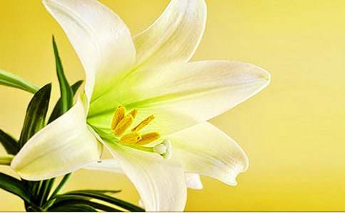 ���ٺϻ������̰�