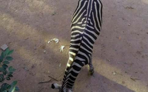 С�������·�ϵİ����߽̰�4ƪ